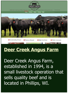 Stephen D. Willett & Associates, S.C.   Bohn Web Design met with the client to discuss concepts and colors and then created this logo, from scratch, based on the client’s vision. Deer Creek Angus Farm  Deer Creek Angus Farm, established in 1994, is a small livestock operation that sells quality beef and is located in Phillips, WI.